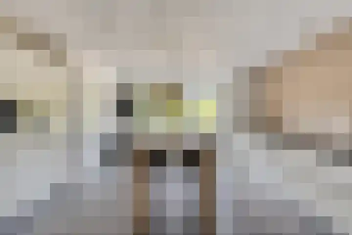 Roodakker 43 Herten thumbnail 9