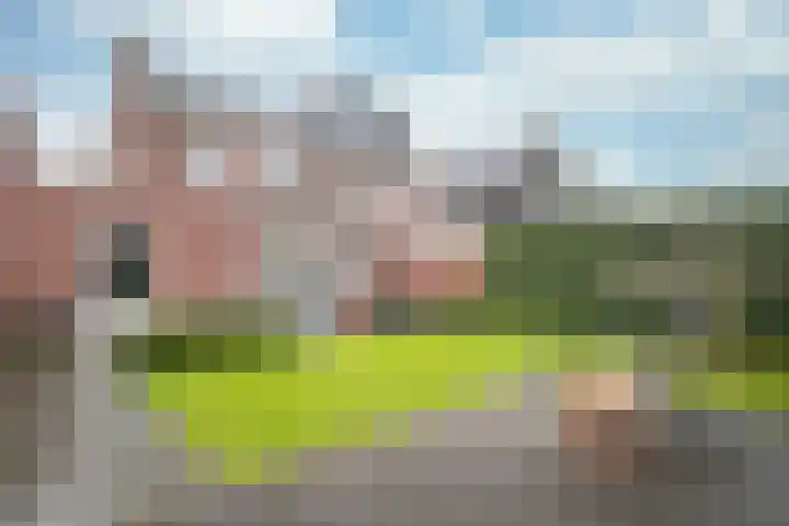 Roodakker 60 Herten thumbnail 21