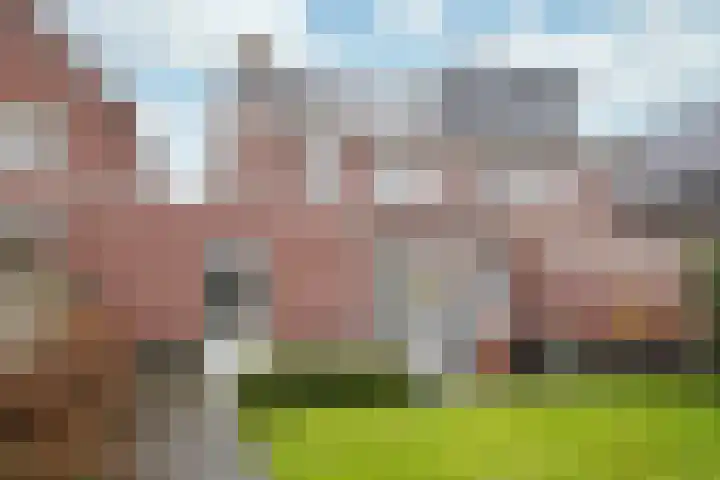 Roodakker 60 Herten thumbnail 22
