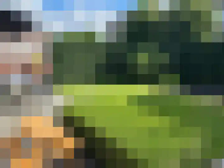 Roodakker 60 Herten thumbnail 23