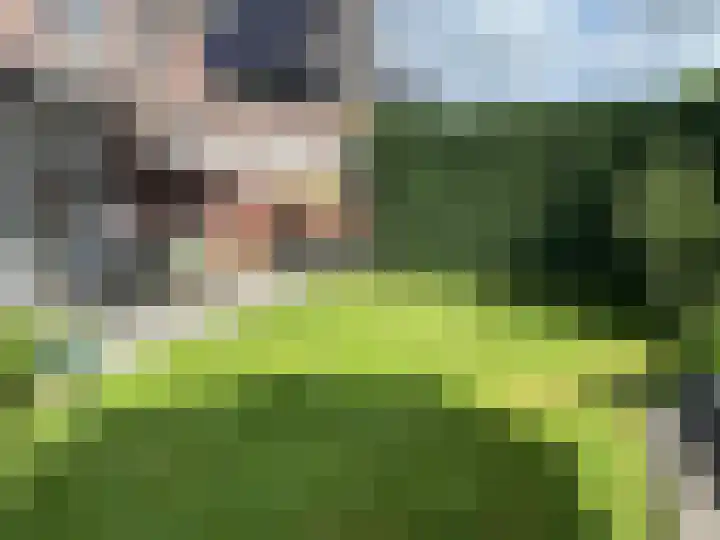 Roodakker 60 Herten thumbnail 24