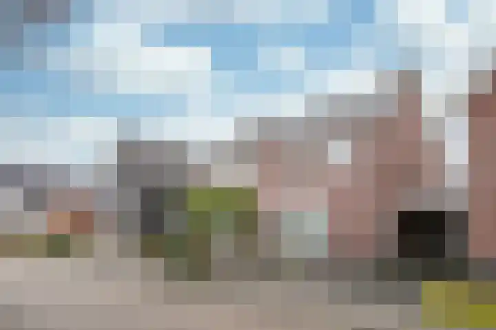 Roodakker 60 Herten thumbnail 28