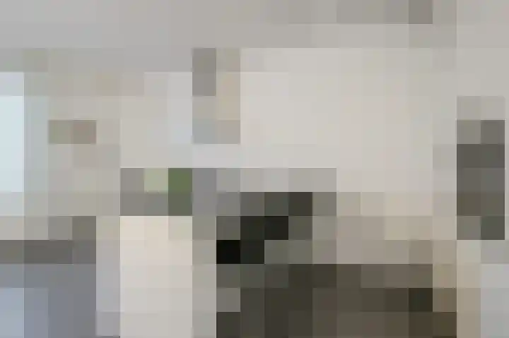 Roodakker 60 Herten thumbnail 9