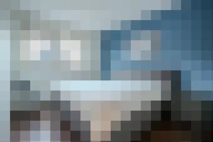 Roodakker 8 Herten thumbnail 11