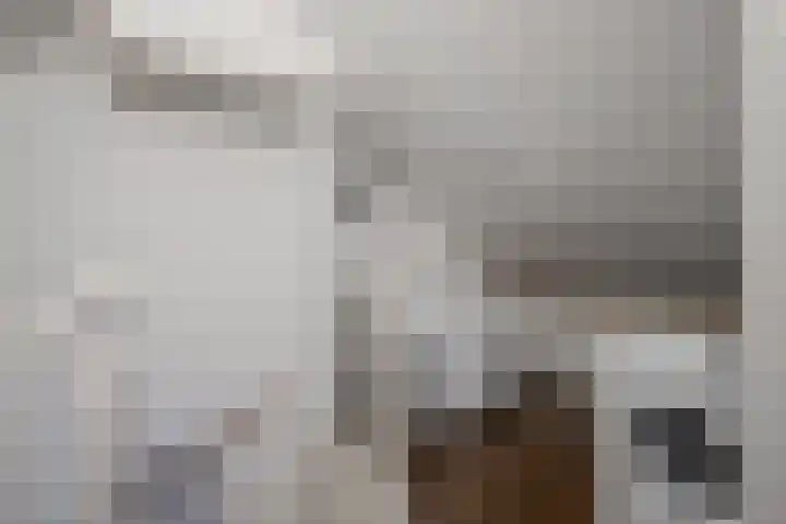 Roodakker 8 Herten thumbnail 17