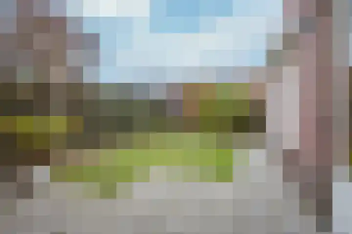 Roodakker 8 Herten thumbnail 20
