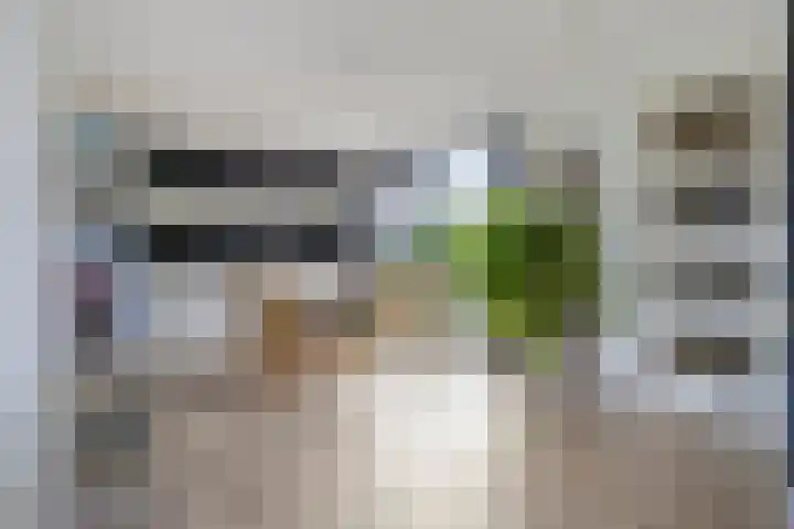 Roodbont 4 Meerstad thumbnail 18