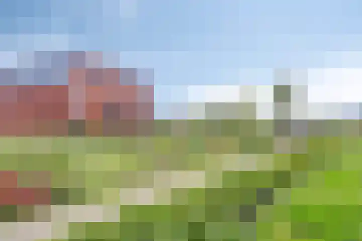 Roodbont 4 Meerstad thumbnail 45