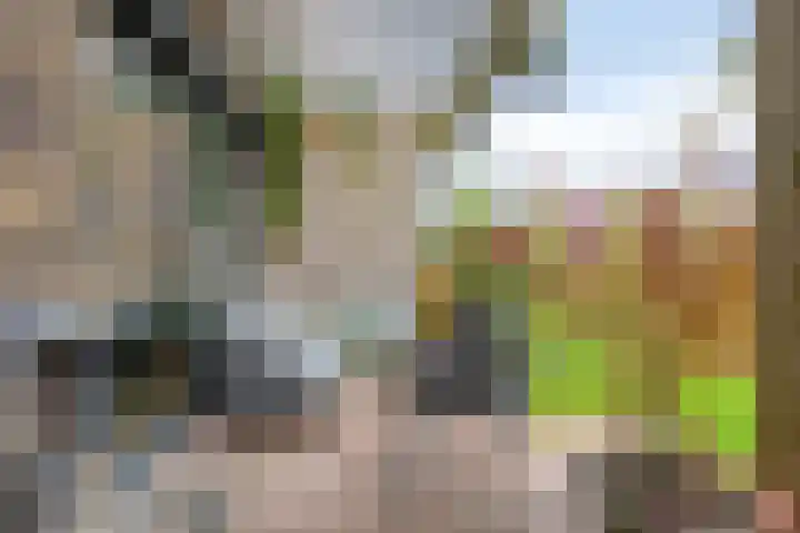 Roodbont 4 Meerstad thumbnail 9