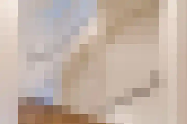 Roodbont 54 Hapert thumbnail 26