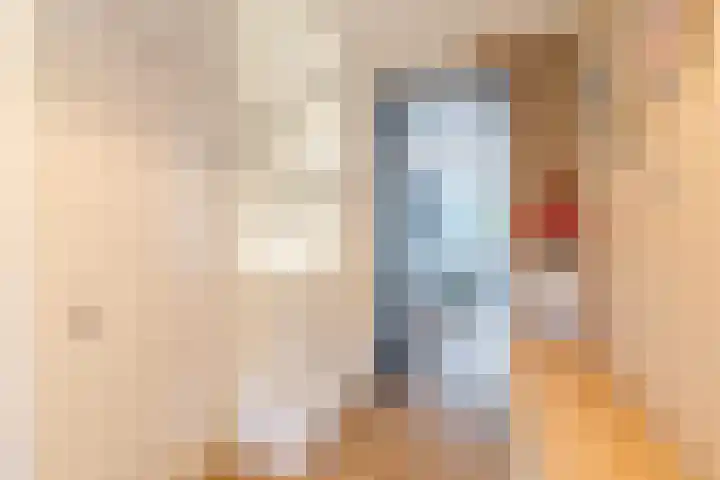 Roodbont 54 Hapert thumbnail 4