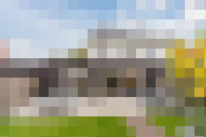 Roodbont 54 Hapert thumbnail 52