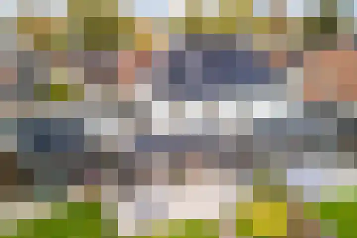 Roodbont 54 Hapert thumbnail 56