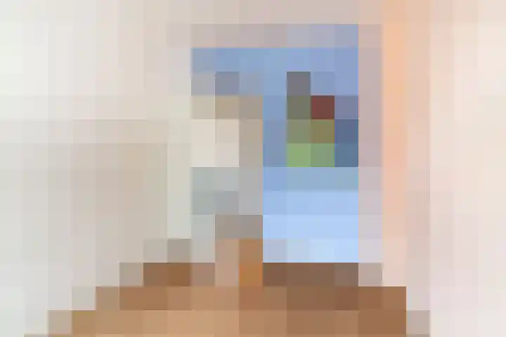 Roodbont 54 Hapert thumbnail 74