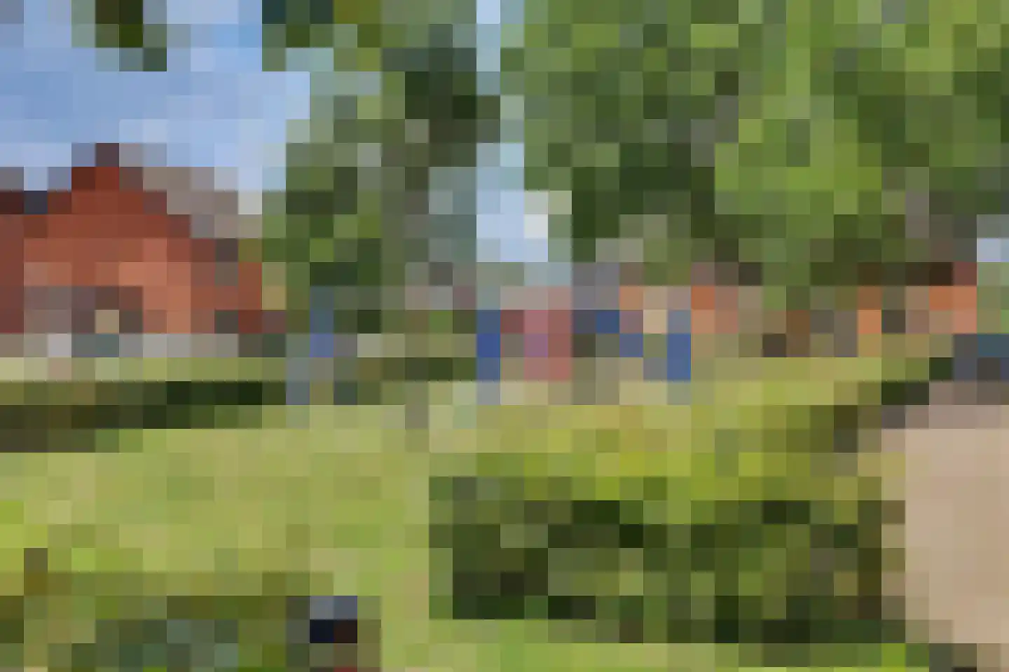Roodbont 55 Hapert thumbnail 39
