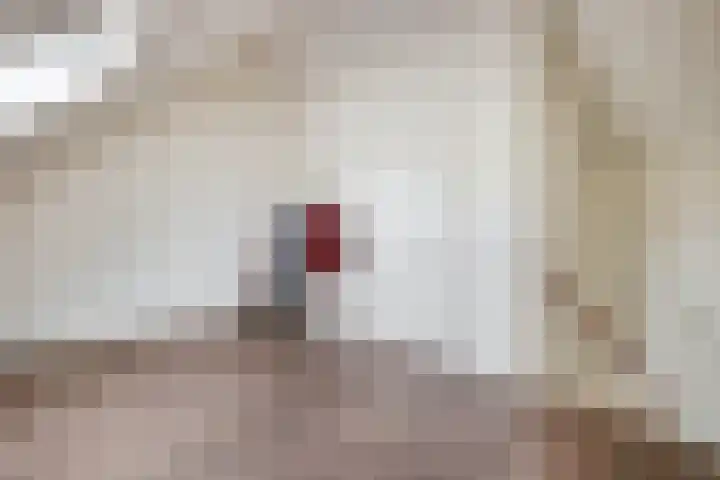 Roodbont 58 Hapert thumbnail 28