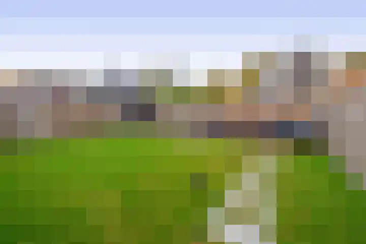 Roodbont 58 Hapert thumbnail 31