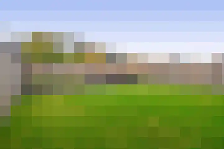 Roodbont 58 Hapert thumbnail 32