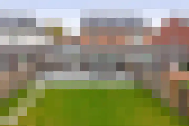 Roodbont 58 Hapert thumbnail 34