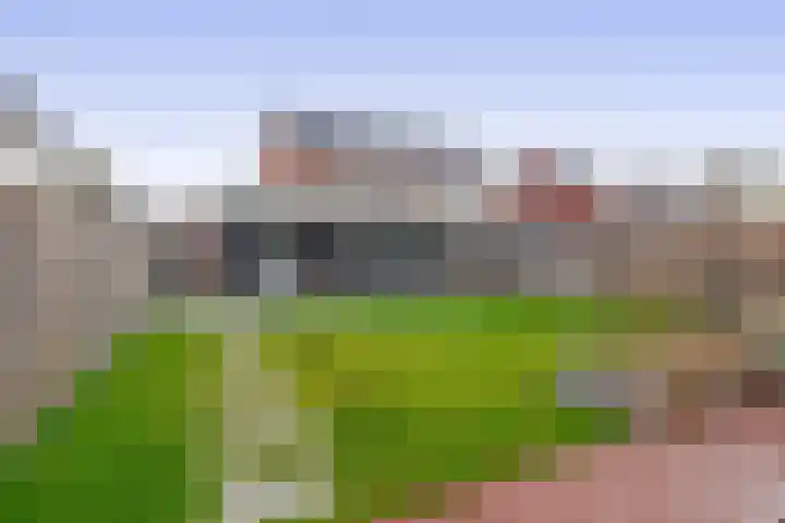 Roodbont 58 Hapert thumbnail 4