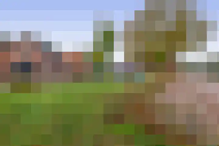 Roodbont 58 Hapert thumbnail 42