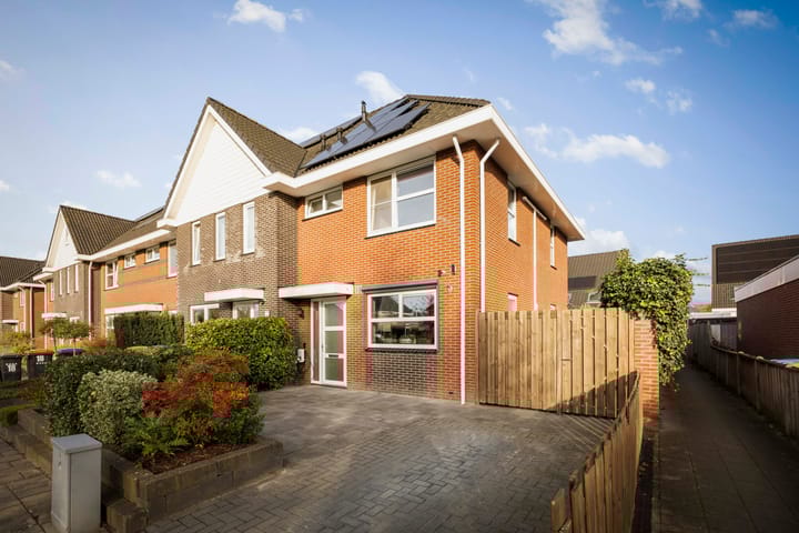 Roodborst 14 in Olst Foto