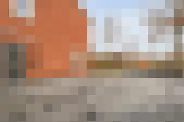 Roodborst 24 Ommen thumbnail 11