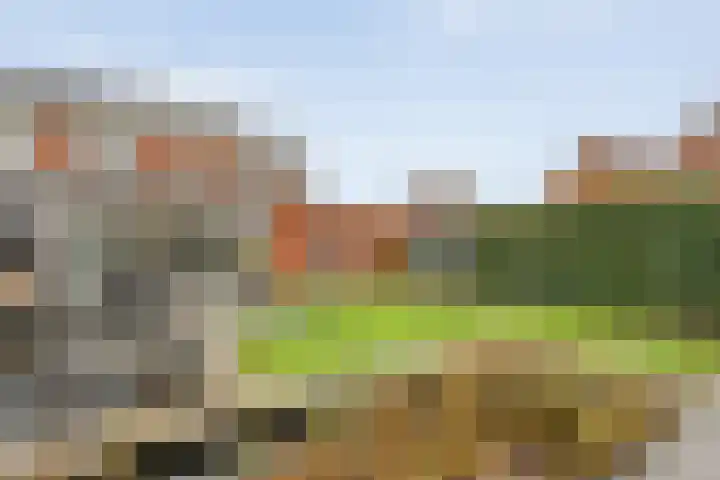Roodborst 24 Ommen thumbnail 38