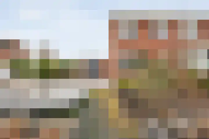Roodborst 24 Ommen thumbnail 6