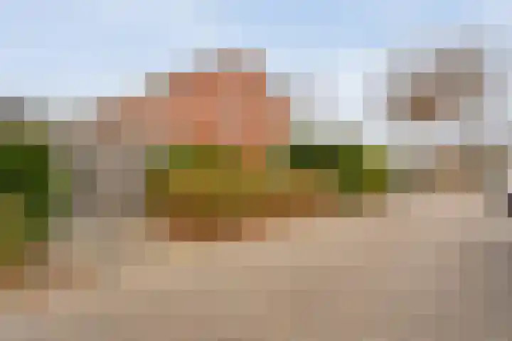 Roodborst 24 Ommen thumbnail 7
