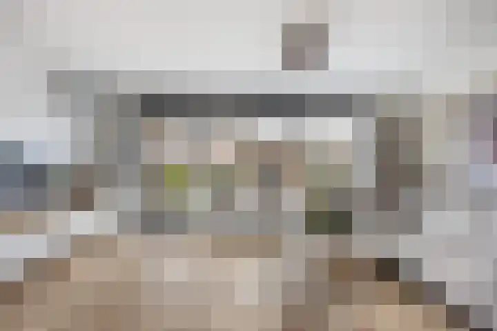 Roodborst 25 Numansdorp thumbnail 10