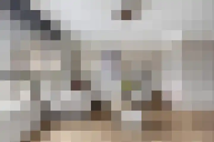 Roodborst 25 Numansdorp thumbnail 11