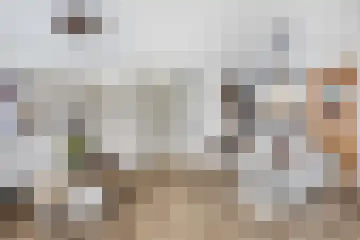 Roodborst 25 Numansdorp thumbnail 12