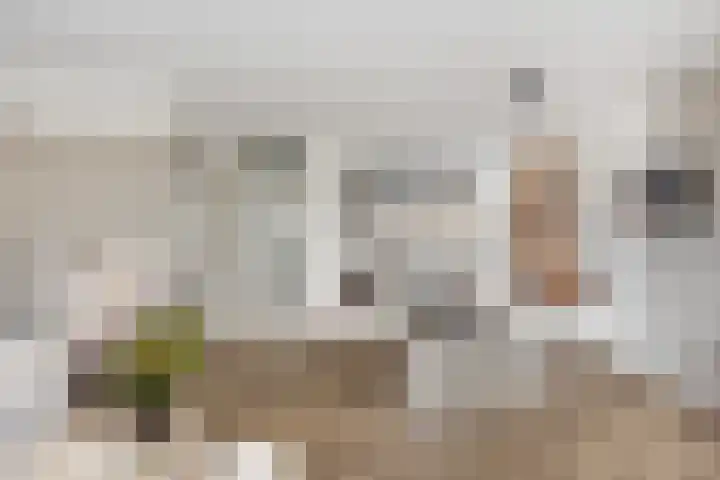Roodborst 25 Numansdorp thumbnail 13