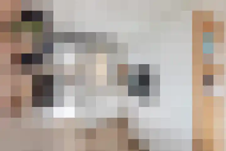 Roodborst 25 Numansdorp thumbnail 17