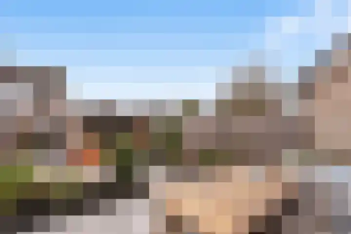 Roodborst 25 Numansdorp thumbnail 41