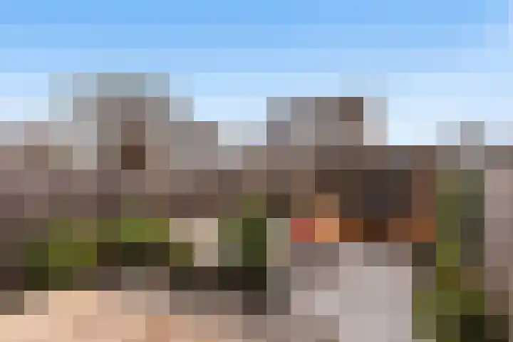 Roodborst 25 Numansdorp thumbnail 42
