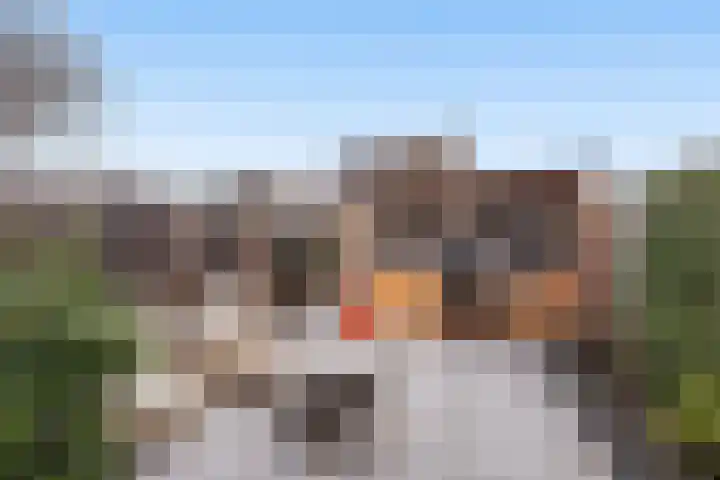 Roodborst 25 Numansdorp thumbnail 43