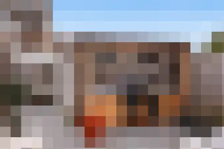 Roodborst 25 Numansdorp thumbnail 46