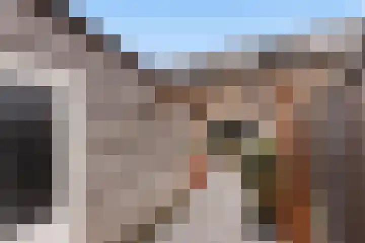 Roodborst 25 Numansdorp thumbnail 47