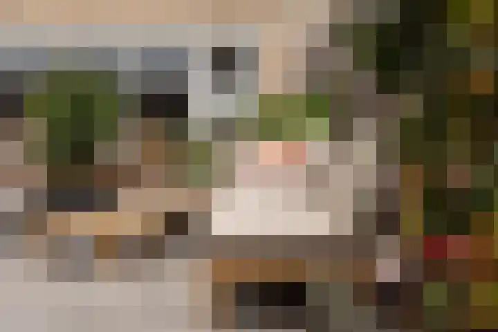 Roodborst 25 Numansdorp thumbnail 50