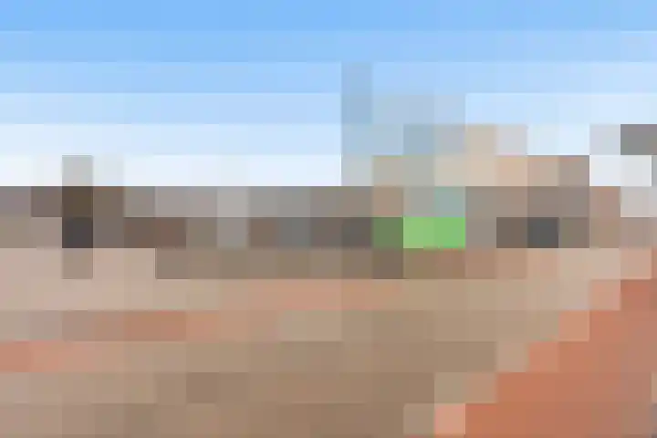 Roodborst 25 Numansdorp thumbnail 53