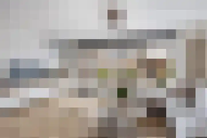Roodborst 25 Numansdorp thumbnail 9