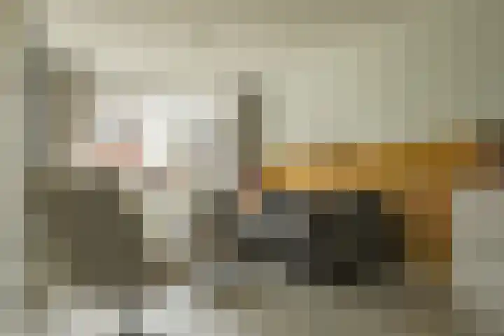 Roodborst 30 Hoogkarspel thumbnail 12