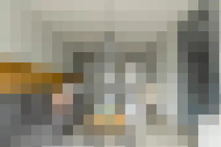 Roodborst 30 Hoogkarspel thumbnail 14