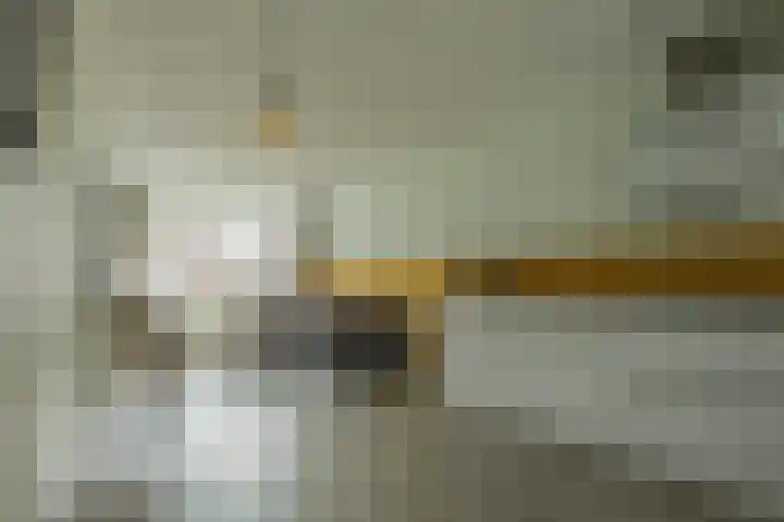 Roodborst 30 Hoogkarspel thumbnail 16
