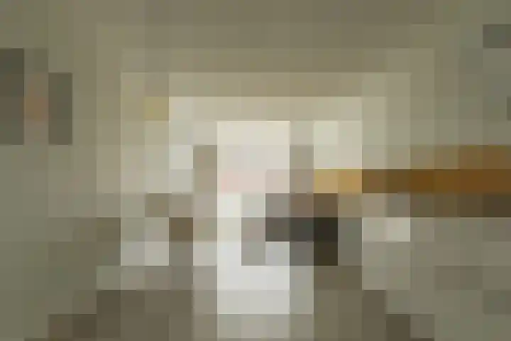 Roodborst 30 Hoogkarspel thumbnail 17