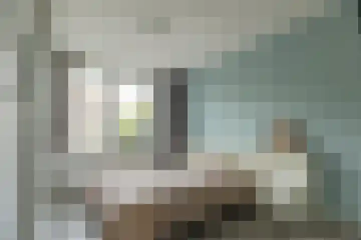 Roodborst 30 Hoogkarspel thumbnail 18