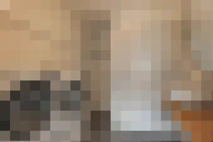 Roodborst 30 Hoogkarspel thumbnail 21