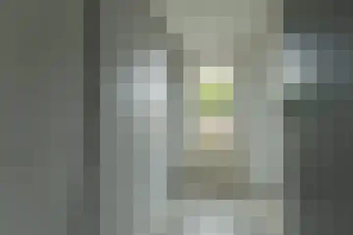 Roodborst 30 Hoogkarspel thumbnail 25